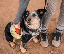 Load image into Gallery viewer, Pictured is a black, brown & white dog with a black collar and leash, wearing a green and yellow doggy bag sitting in a sandy area. The woman holding the dog's leash has her right hand and lower arm in frame, as well as her legs from thigh down. She is holding the compact VSSL First Aid Mini that is half in and half out of the green and yellow doggy bag. Perfect for your roof top tent camping or hiking first aid needs! Available for sale by SMRT Tent in Edmonton, Canada.